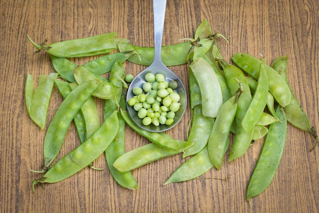 Indigenous Philippine Vegetables - Sitsaro